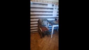 Условия проживания (видеоэкскурсия) по Дому трудолюбия в Белгороде