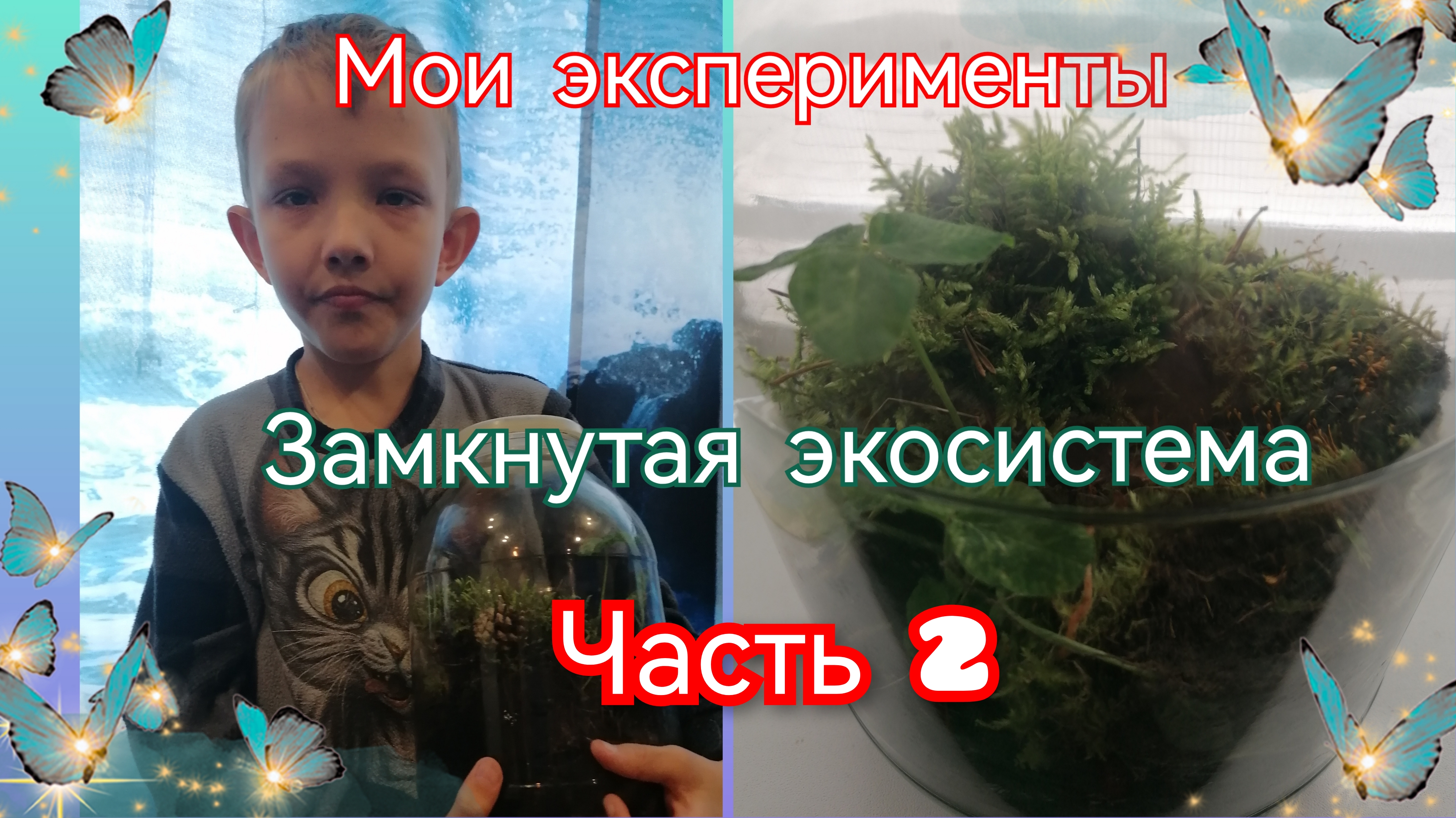 Замкнутая экосистема. Часть 2.