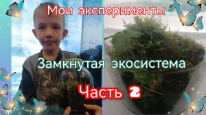 Замкнутая экосистема. Часть 2.