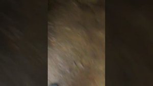 КолЯколя николай сиди дома не гуляй