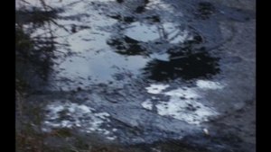 太陽にほえろ! 第17話 俺たちはプロだ