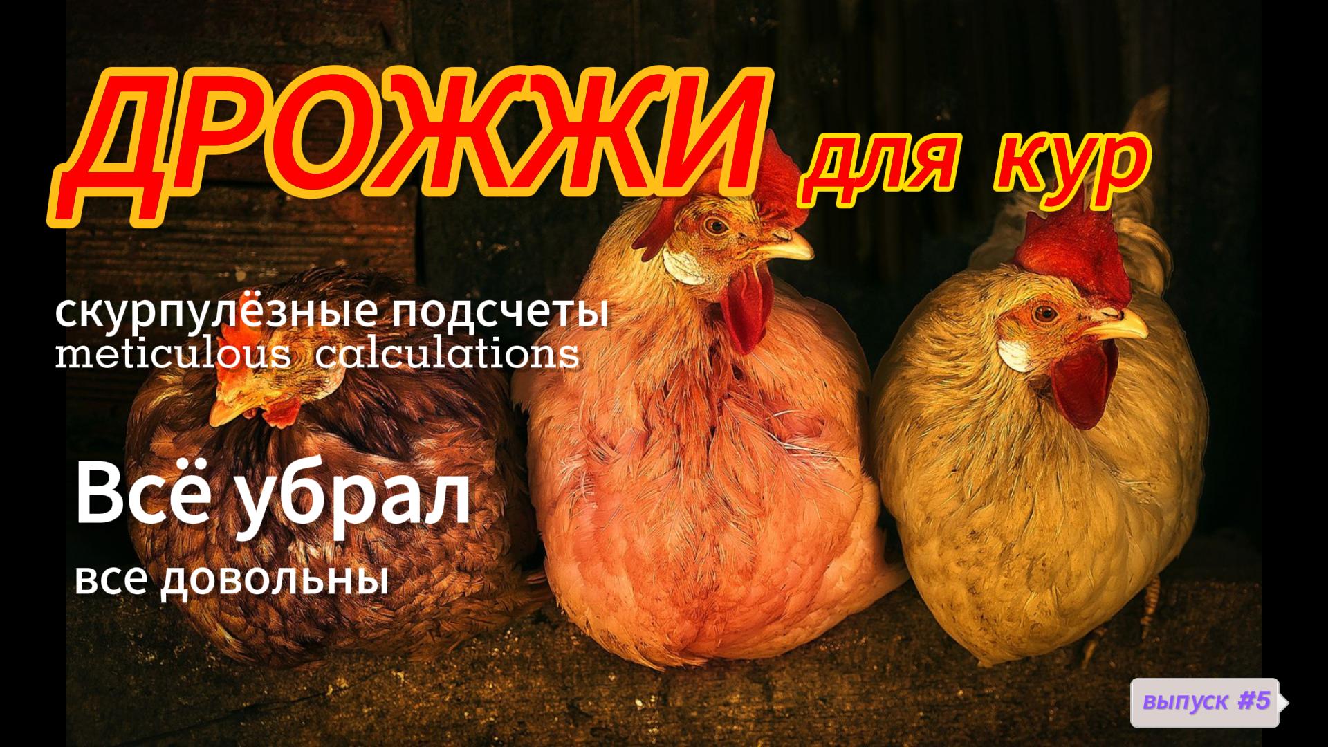 #5 Дрожжевание корма. Всё посчитано. Чистота - залог здоровья