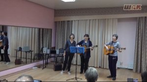 "Ивушки" - цыганская народная песня под гитару в три голоса. ШАК