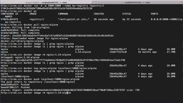 Docker Private Registry | Docker Getting Started | Lesson 014 смотреть онлайн