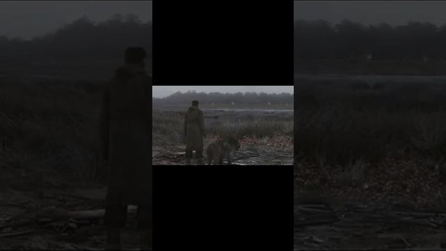 Внимание анекдот! n5 смотреть онлайн