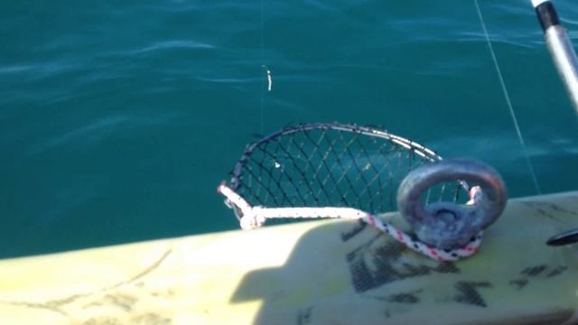 Огромный ЕРШ и Гарбыль махнул хвостом ))) смотреть онлайн