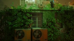 Stray 2 СИМУЛЯТОР КОТА