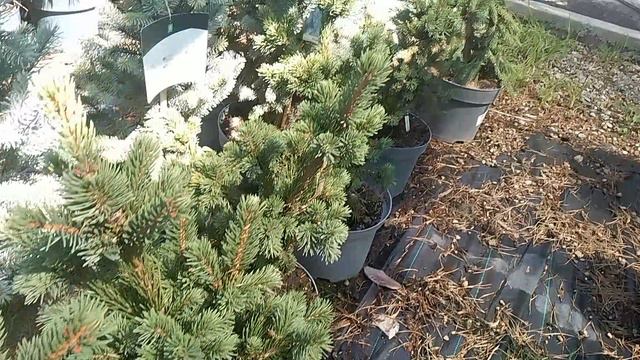 1000073883.mp4 смотреть онлайн