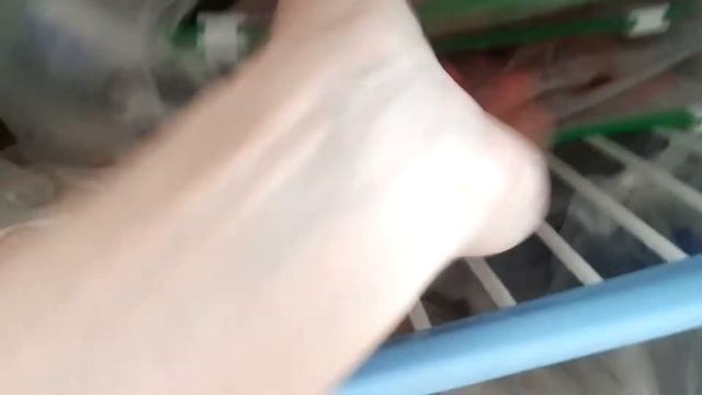 покупки на Михайловском рынке Тюмень