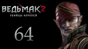 The Witcher 2 / Ведьмак 2 - Гнёзда гарпий - Прохождение игры на русском [#64] | PC (2017 г.)