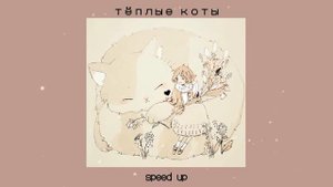 Тёплые коты🩷/speed up/песня ускорена🩷