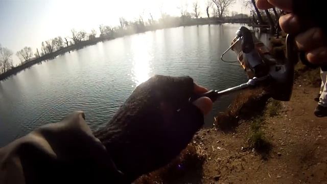 Trote a Spinning in Laghetto (Berkley Gulp Big Trout) смотреть онлайн