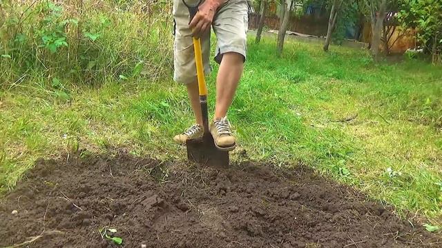 Отдых на даче 65 смотреть онлайн