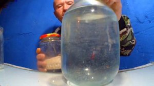 ПРИКОРМКИ КОТОРЫЕ собирают всю МИРНУЮ РЫБУ НА ЗИМНЕЙ РЫБАЛКЕ! В лунке ВСЕГДА С УЛОВОМ,С РЫБОЙ