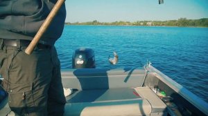 Эхолот GARMIN - Лучший эхолот за свои деньги? Вся рыба в твоем смартфоне