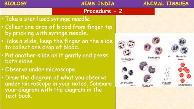 9TH | BIOLOGY | ANIMAL TISSUES | PART 01 смотреть онлайн