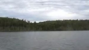 Нязепетровское водохранилище, август 2009