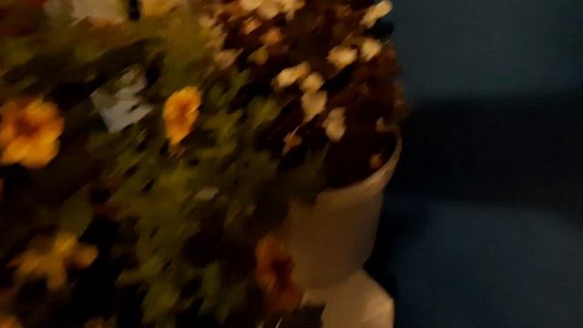 Заготовка овощей на зиму//Что готовила для мужа. смотреть онлайн