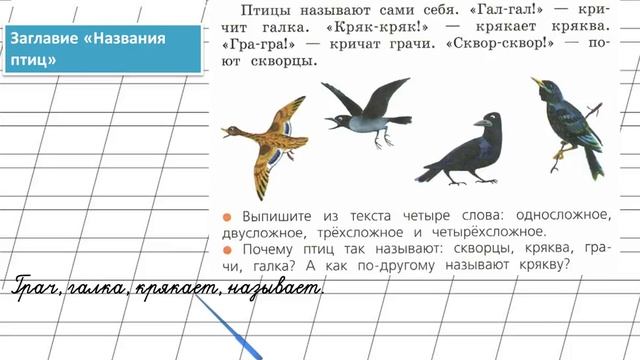 Русский язык 2 кл стр 97. 1 Класс русский страница 66. Птицы русский язык 2 класс. Прочитайте назовите птицу. Русский язык 2 класс упр 97.