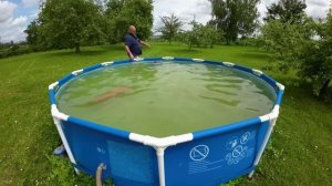 Чистый бассейн за 2 часа. Без химии, дёшево и сердито!!! Влад TV