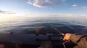 Щука. Судак. Рыбалка на Рыбинке. Троллинг.