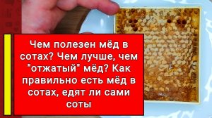 Чем полезен мёд в сотах? Чем лучше? Как правильно есть мёд в сотах, едят ли сами соты?