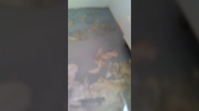 3д эпоксидный пол."Великолепная"грунтовка для эпоксидного пола,начало или"12подвигов" ПивовароваР.А