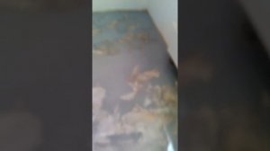 3д эпоксидный пол."Великолепная"грунтовка для эпоксидного пола,начало или"12подвигов" ПивовароваР.А