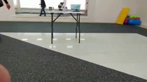 Цвергпинчер. Подготовка к выставке в новом зале.