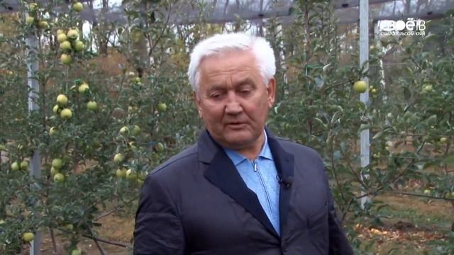 Актуальное интервью. Как живёт СХП «Рассвет» после визита президента смотреть онлайн