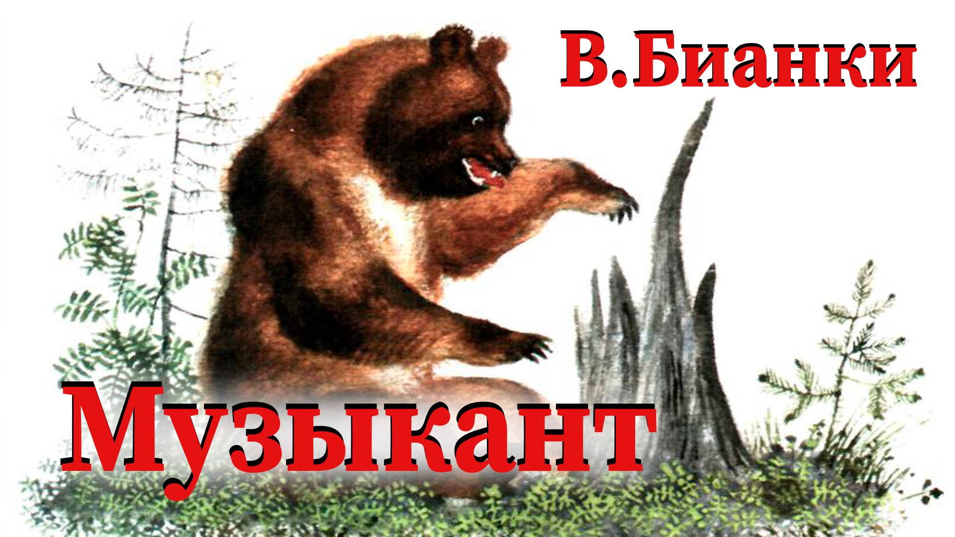 В.Бианки - Музыкант
