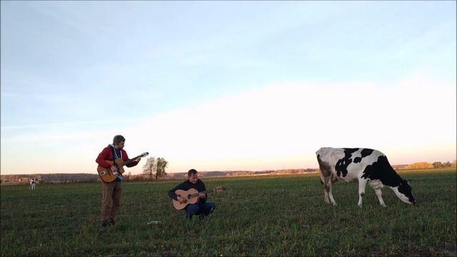 Как пасти коров. Одношаговая инструкция пастуха. смотреть онлайн