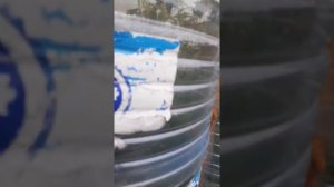 20 июля 2020 г.Теплица из пластиковых бутылок