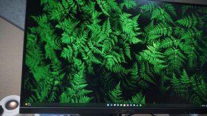 The BUDGET FRIENDLY 4k Monitor! | Sceptre U275W