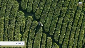 10 Лучших КУРОРТОВ России от Кисловодского Курортного Управления