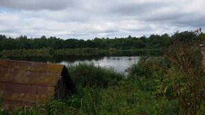 Новгородская область, деревня Вылеги
