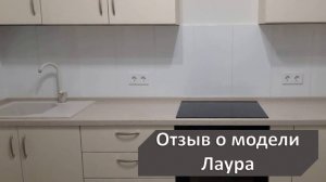 Обзор готового проекта у клиента на основе модели Лаура