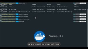 Top docker commands