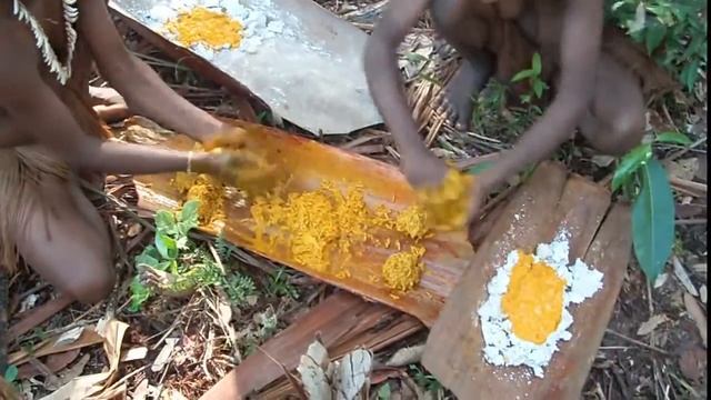 Papuans squeeze pandanus oil // Папуасы выжимают панданусовое масло смотреть онлайн
