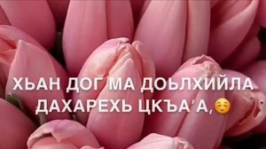 Озвучка марнанна(Дала декъал йойла хьо Мама)
