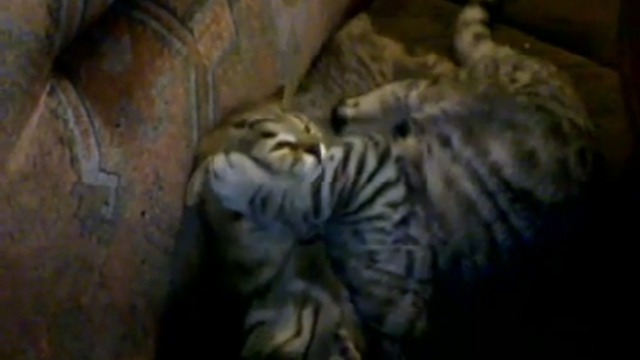 Большая игра смотреть онлайн