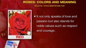 ANC Shoptalk: Gift Ideas for Valentines | Part 1