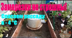 SOS. Заморозки