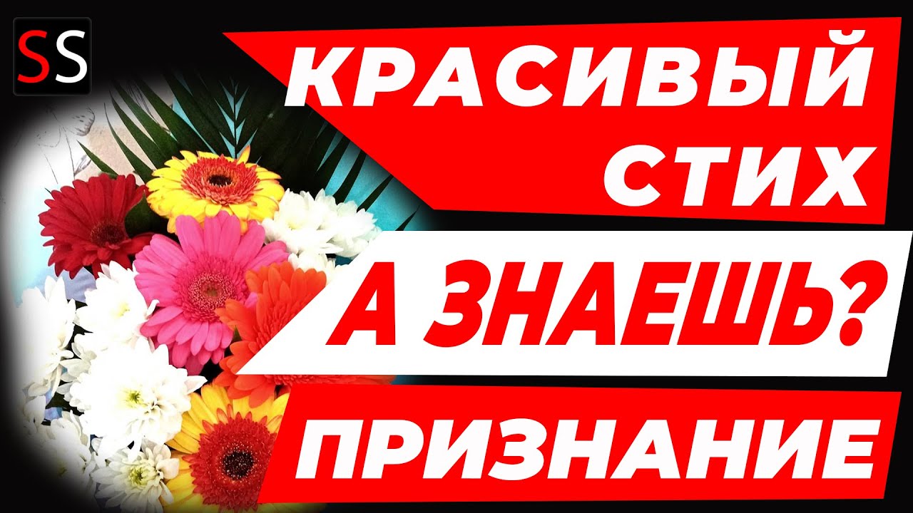 Признаться в любви указывать на ошибки признание в любви жаловаться на судьбу библиотечный стеллаж