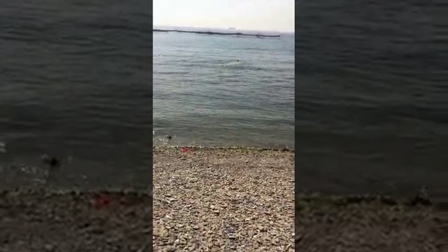 Я дал 100 тку по морской трассе ) по морю ))) аххаха чемпион мира по плаванию ае ае ае смотреть онлайн