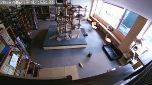 Кошки почувствовали землетрясение за 10 секунд .
