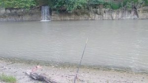 ловля речного усача в Грозном на реке Сунжа,на куриную печень