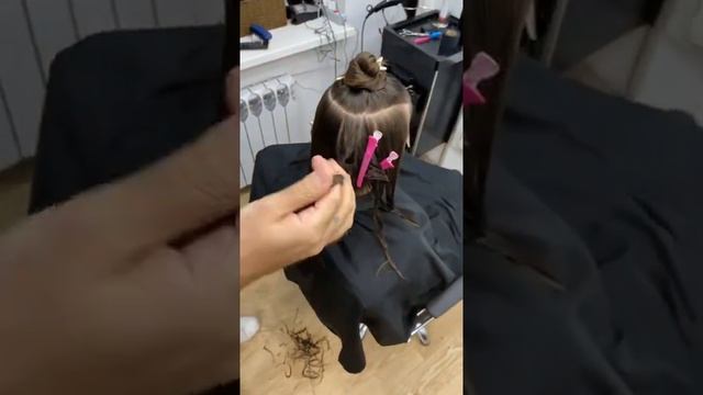 Шегги