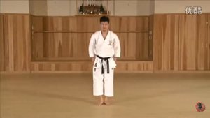 JKS Kata - Meikyo | Ката Мейкио в каратэ Шотокан