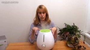 Увлажнитель воздуха.